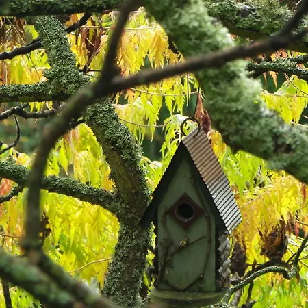 Bed & Breakfast De La Verriere 3*