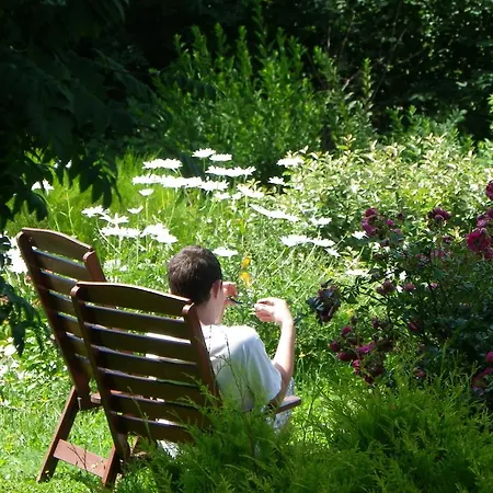Bed & Breakfast De La Verriere Les Ardillats