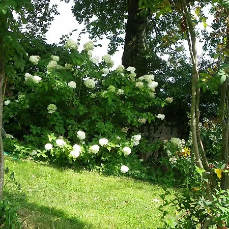 Bed & Breakfast De La Verriere Les Ardillats