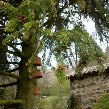 De La Verriere Bed & Breakfast 3*